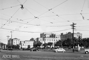 Pôster -  Avenida Dr. Arnaldo, c. 1953   São Paulo, SP