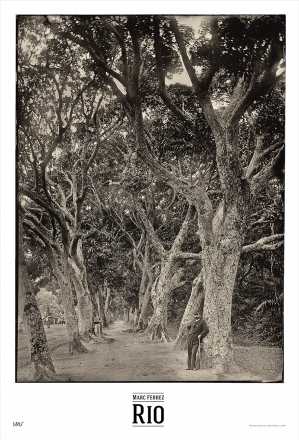Pôster - Aléia das Mangueiras, RJ