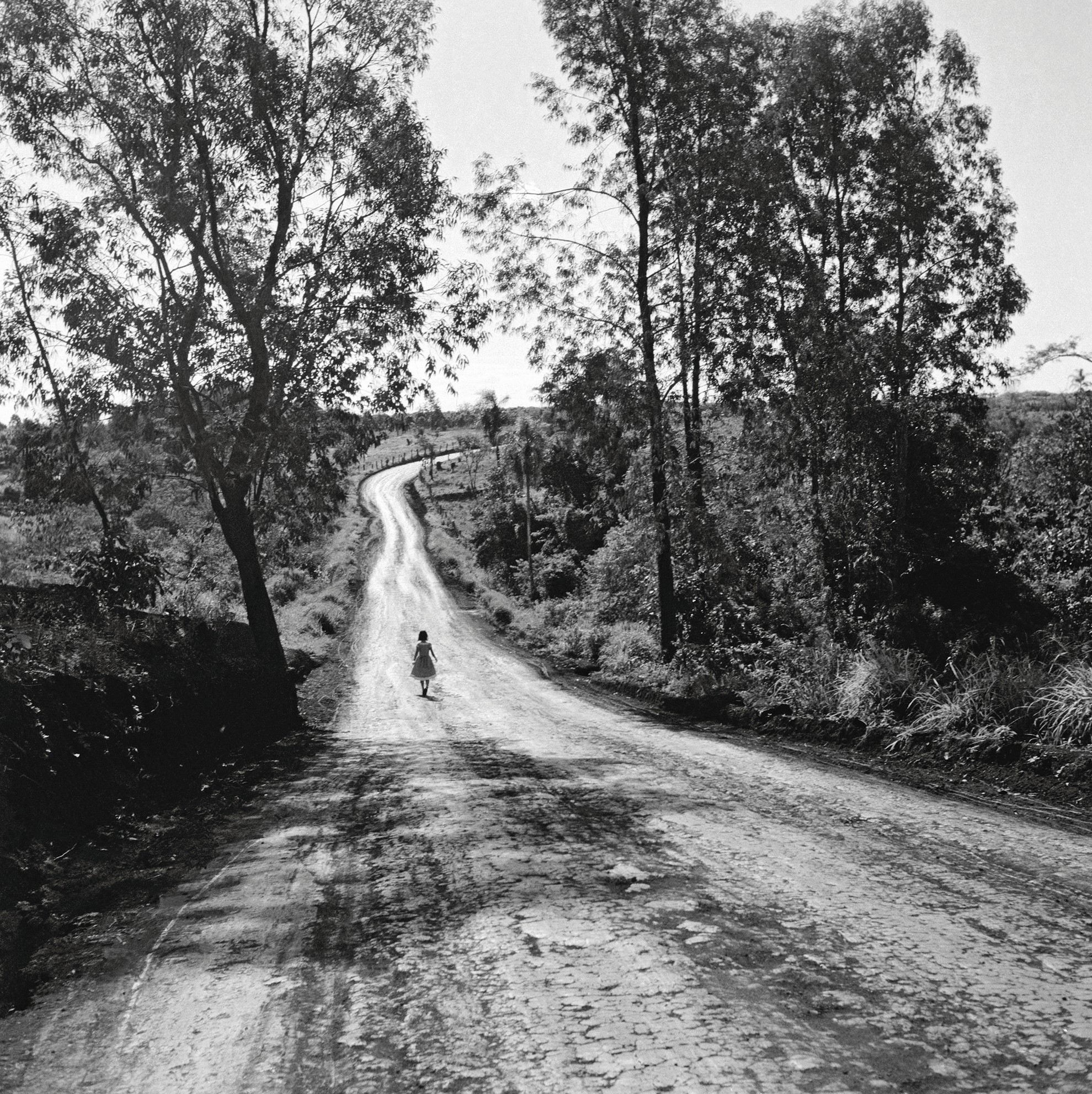 Estrada que passava na cabeceira da chácara Arara, em direção ao aeroporto, 1949 - Londrina, PR