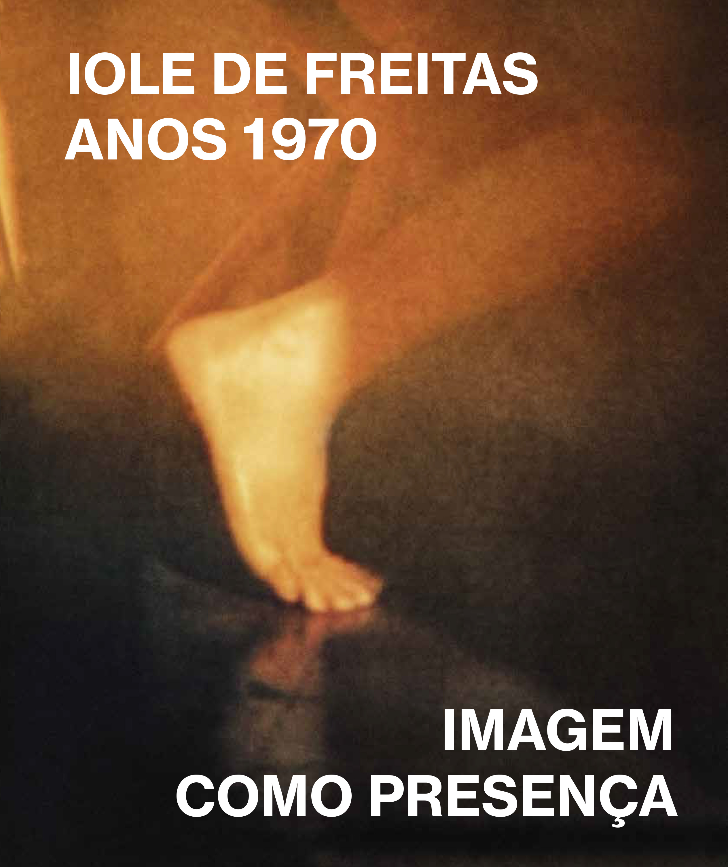 Iole de Freitas, Anos 1970: imagem como presença