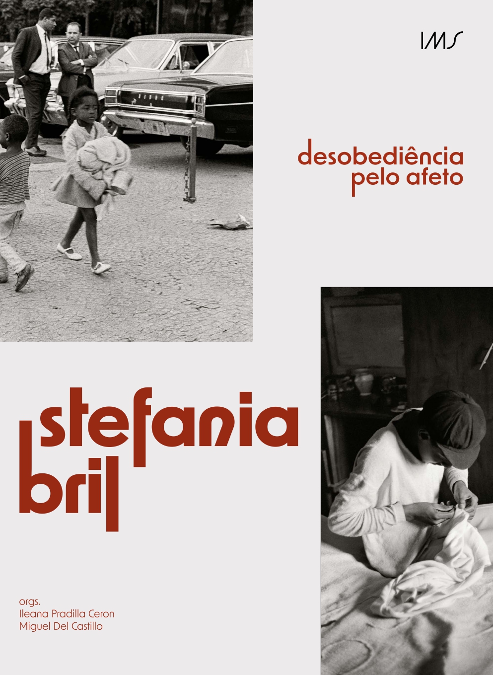 Stefania Bril: desobediência pelo afeto 